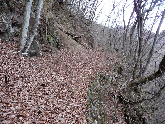 �J�c�X�ѓS��,�����X�ыO��,�p����,�ؑ]�X,,�ѓS