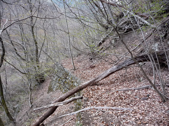 �J�c�X�ѓS��,�����X�ыO��,�p����,�ؑ]�X,,�ѓS