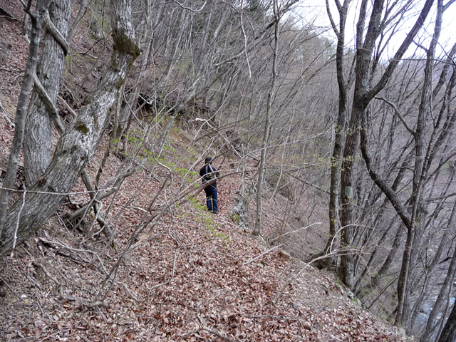 �J�c�X�ѓS��,�����X�ыO��,�p����,�ؑ]�X,,�ѓS