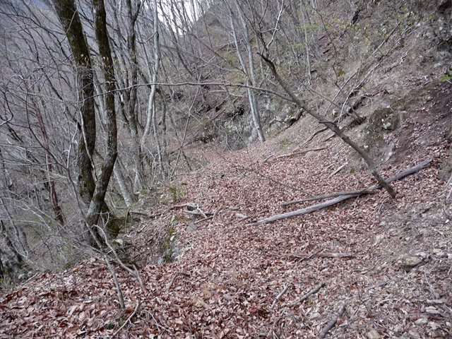 �J�c�X�ѓS��,�����X�ыO��,�p����,�ؑ]�X,,�ѓS