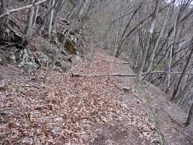 �J�c�X�ѓS��,�����X�ыO��,�p����,�ؑ]�X,,�ѓS