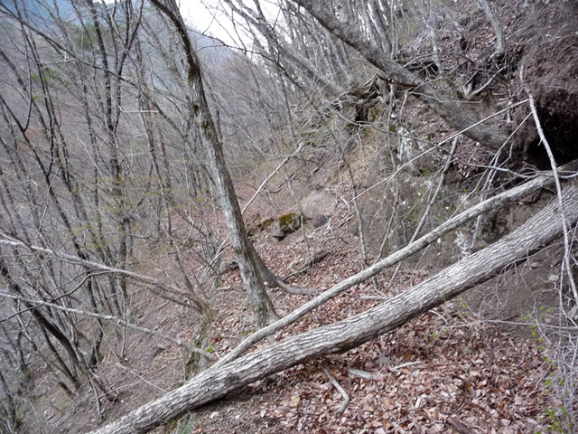 �J�c�X�ѓS��,�����X�ыO��,�p����,�ؑ]�X,,�ѓS