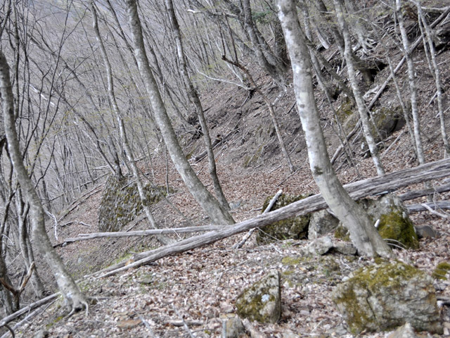 �J�c�X�ѓS��,�����X�ыO��,�p����,����,,�ѓS