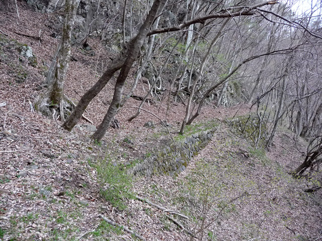 �J�c�X�ѓS��,�����X�ыO��,�p����,����,,�ѓS