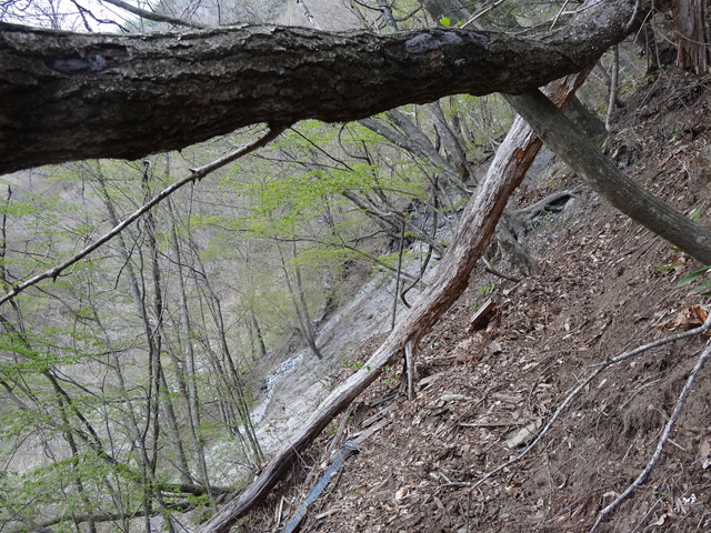 �J�c�X�ѓS��,�����X�ыO��,�p����,�����,,�ѓS