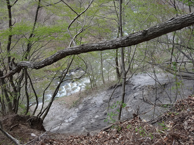 �J�c�X�ѓS��,�����X�ыO��,�p����,�����,,�ѓS