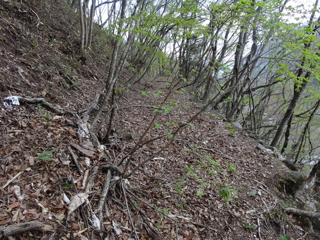 �J�c�X�ѓS��,�����X�ыO��,�ѓS,�p����