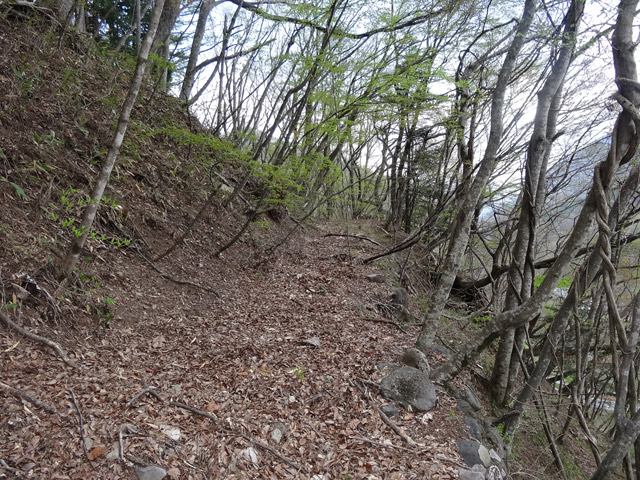 �J�c�X�ѓS��,�����X�ыO��,�ѓS,�p����