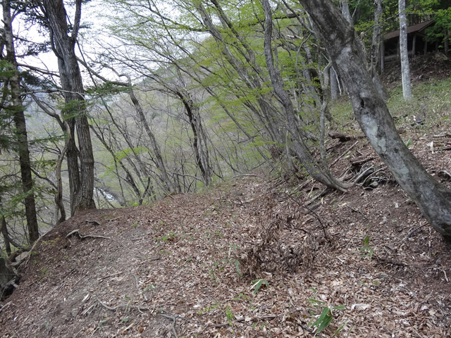 �J�c�X�ѓS��,�㏼�^�A�c�я�,�p����,�ؑ]�X,�ѓS