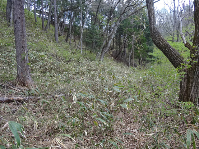 �J�c�X�ѓS��,�㏼�^�A�c�я�,�p����,�ؑ]�X,,�ѓS