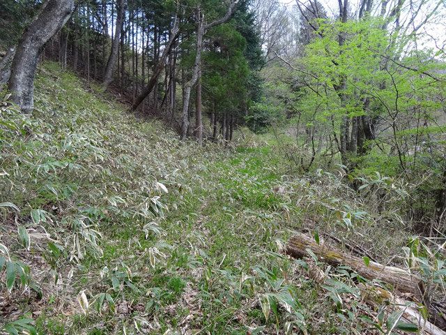 �J�c�X�ѓS��,�㏼�^�A�c�я�,�p����,�ؑ]�X,�ѓS