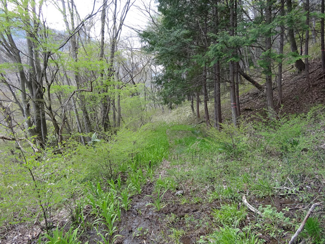 �J�c�X�ѓS��,�����X�ыO��,�p����,����,�ѓS