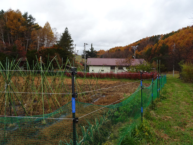 �O��X�ѓS��,�ѓS,�p����,��ƍ���,������X�L�[��,���J��t