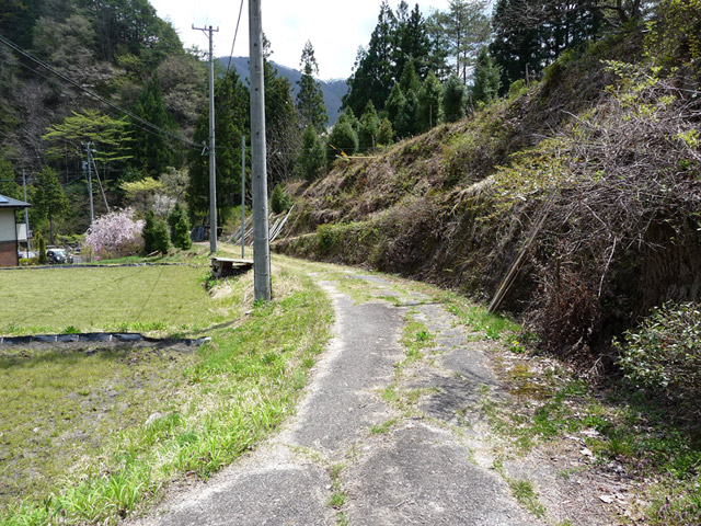 �`���X�ѓS���u�`�����1�������[��q�싴���v