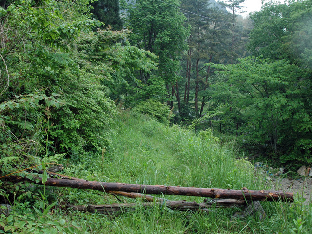 �`���X�ѓS���u�`�����1�������[��q�싴���v