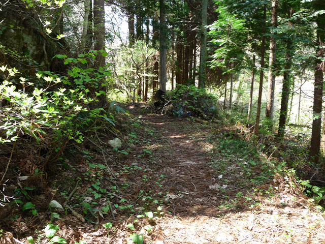 �`���X�ѓS���u�`�����1�������[��q�싴���v