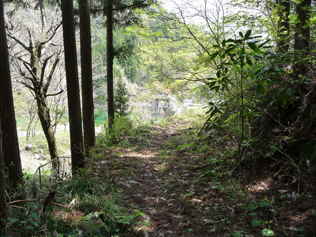 �`���X�ѓS���u�`�����1�������[��q�싴���v