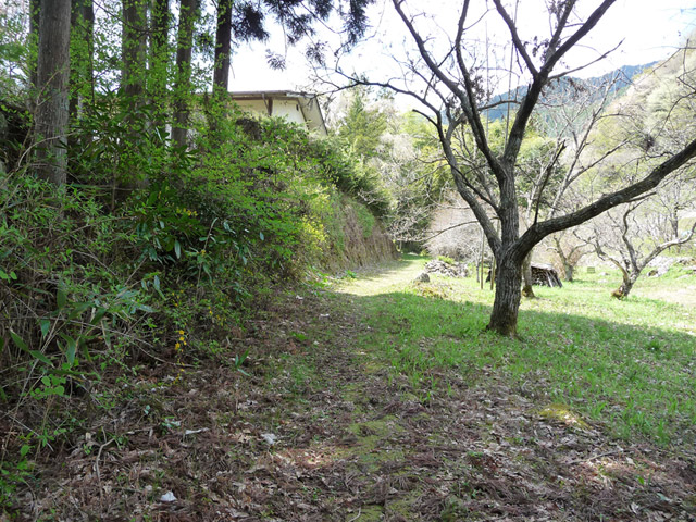 �`���X�ѓS���u�`�����1�������[��q�싴���v