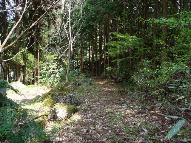 �`���X�ѓS���u�`�����1�������[��q�싴���v