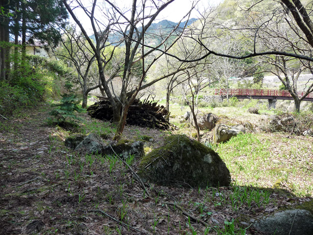 �`���X�ѓS���u�`�����1�������[��q�싴���v