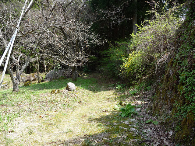 �`���X�ѓS���u�`�����1�������[��q�싴���v