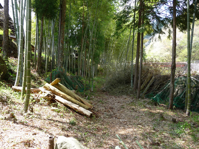 �`���X�ѓS���u�`�����1�������[��q�싴���v