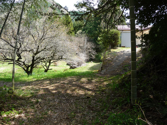 �`���X�ѓS���u�`�����1�������[��q�싴���v