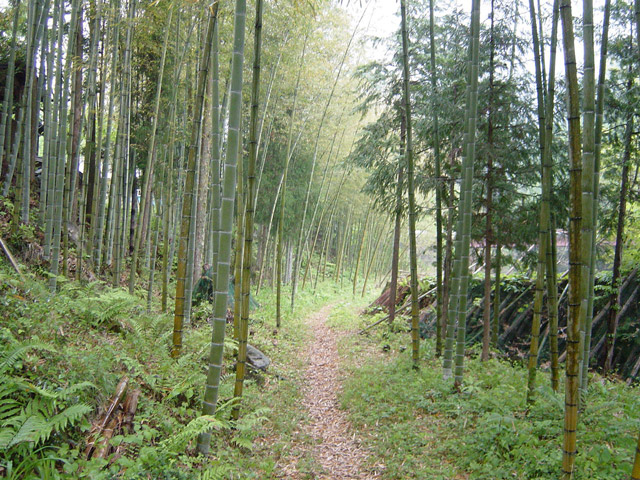 �`���X�ѓS���u�`�����1�������[��q�싴���v