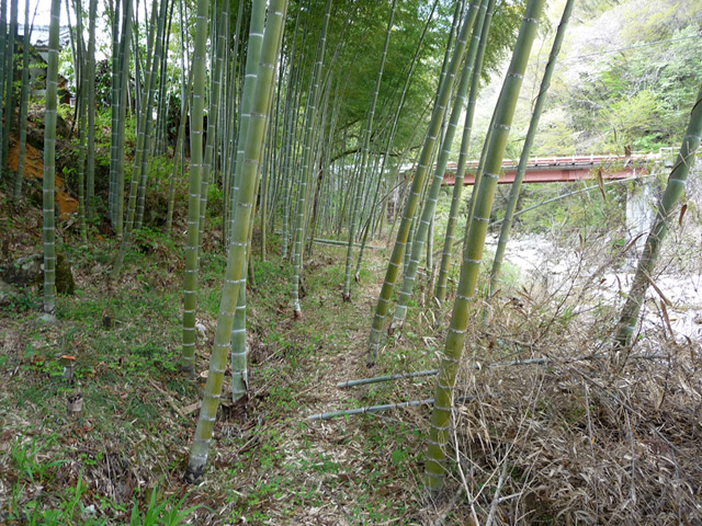 �`���X�ѓS���u�`�����1�������[��q�싴���v