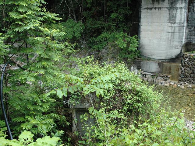 �`���X�ѓS��,��q�싴��