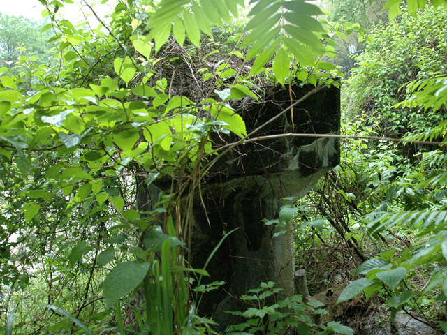 �`���X�ѓS��,��q�싴��