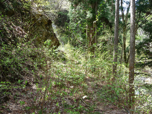 �`���X�ѓS��,�`��q�싴��,�����r�򋴗�.�`���k�J,�`����