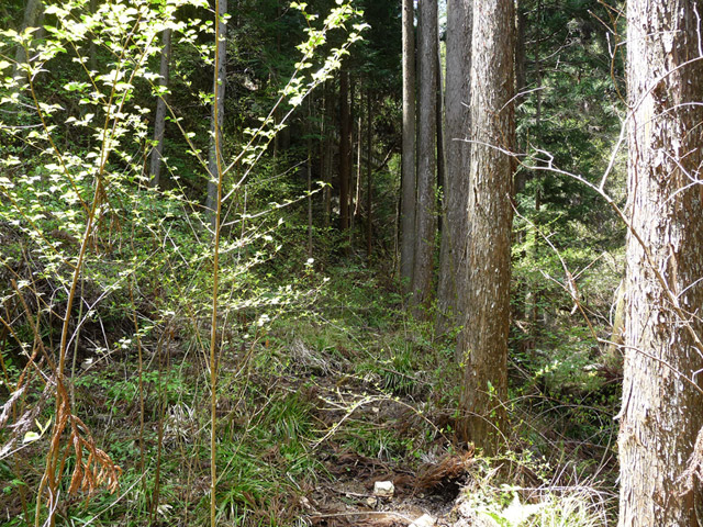 �`���X�ѓS��,�`��q�싴��,�����r�򋴗�.�`���k�J,�`����