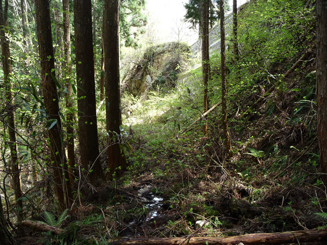 �`���X�ѓS��,�����r�򋴗�.�`���k�J,�`����