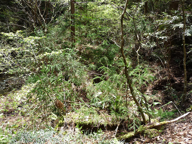 �`���X�ѓS��,�����r�򋴗�.�`���k�J,�`����