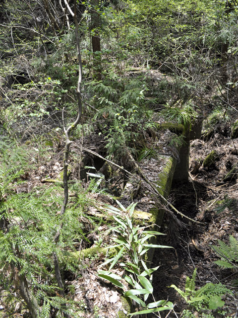 �`���X�ѓS��,�����r�򋴗�.�`���k�J,�`����