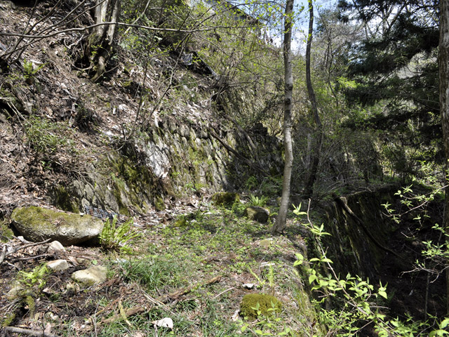 �ؑ]�X�ѓS���`����,�ѓS,�p����