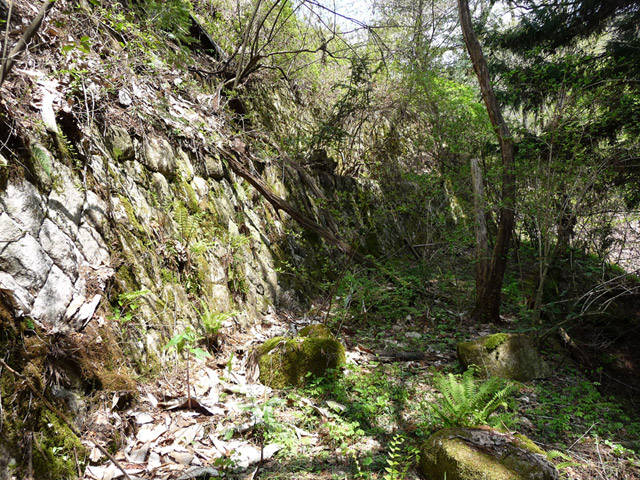 �ؑ]�X�ѓS���`����,�ѓS,�p����