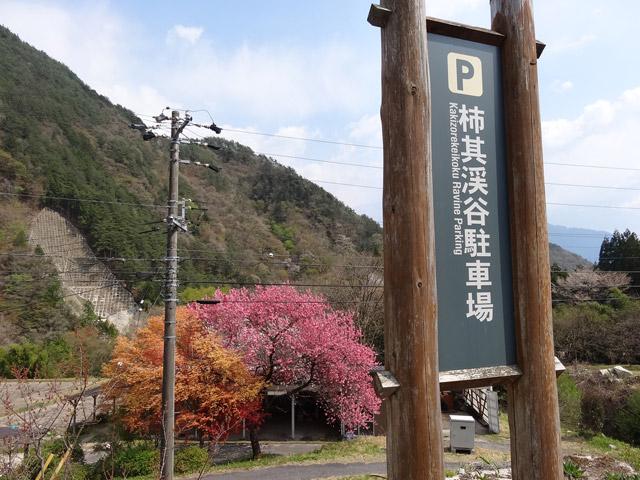 �ؑ]�X�ѓS��,�`����,�ѓS,�p����,�`���k�J