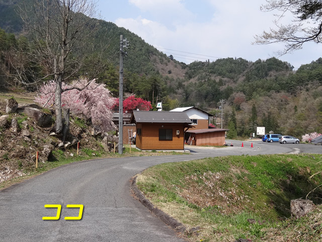 �`���X�ѓS��,�ѓS,�p����,�ؑ]�X,��������