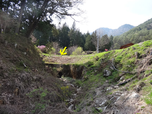 �`���X�ѓS��,�ѓS,�p����,�ؑ]�X,��������