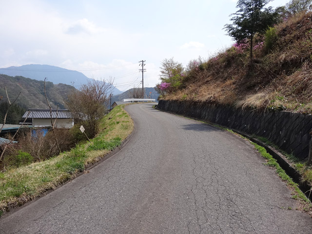 �ؑ]�X�ѓS���`����,�ѓS,�p����,�ԓ���