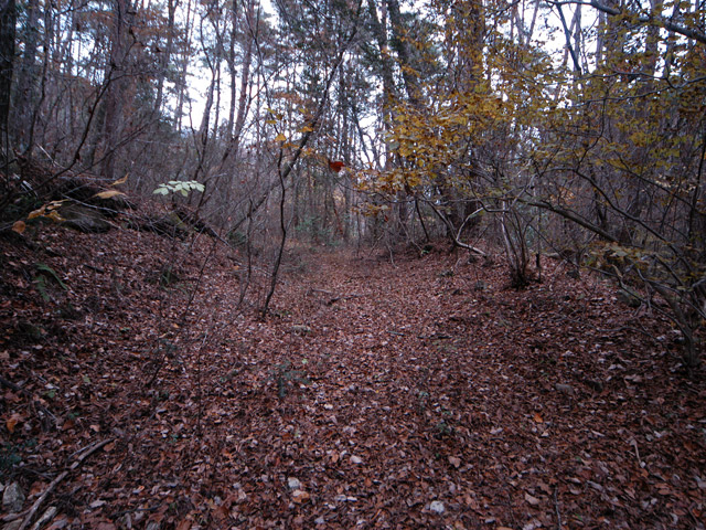 �`���X�ѓS��,�ѓS,�p����,�O�a�c�я�