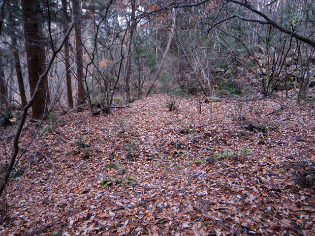 �`���X�ѓS��,�ѓS,�p����,�O�a�c�я�,�ؑ]�X