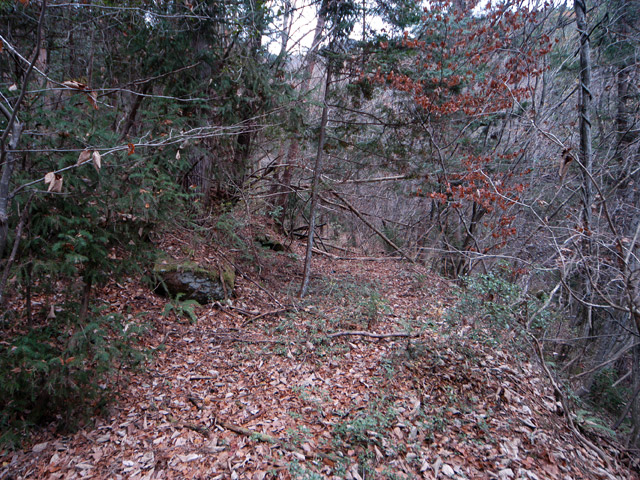 �`���X�ѓS��,�ѓS,�p����,�O�a�c�я�,�ؑ]�X