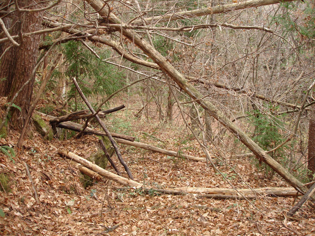 �ؑ]�X�ѓS���`����,�ѓS,�p����,�O�a�c�я�