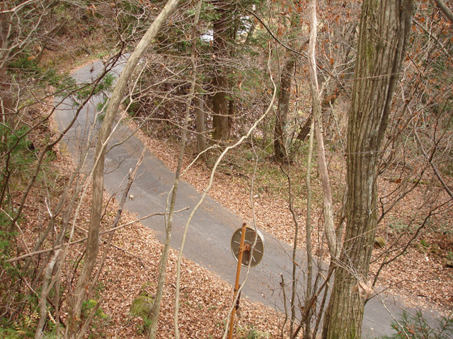 �ؑ]�X�ѓS���`����,�ѓS,�p����,�O�a�c�я�