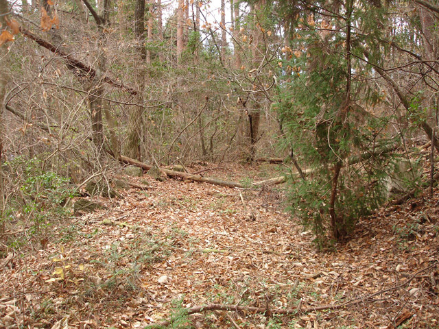 �ؑ]�X�ѓS���`����,�ѓS,�p����,�O�a�c�я�