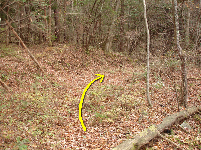 �ؑ]�X�ѓS���`����,�ѓS,�p����,�O�a�c�я�