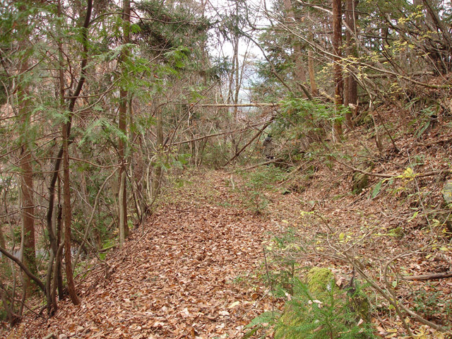 �ؑ]�X�ѓS���`����,�ѓS,�p����,�O�a�c�я�